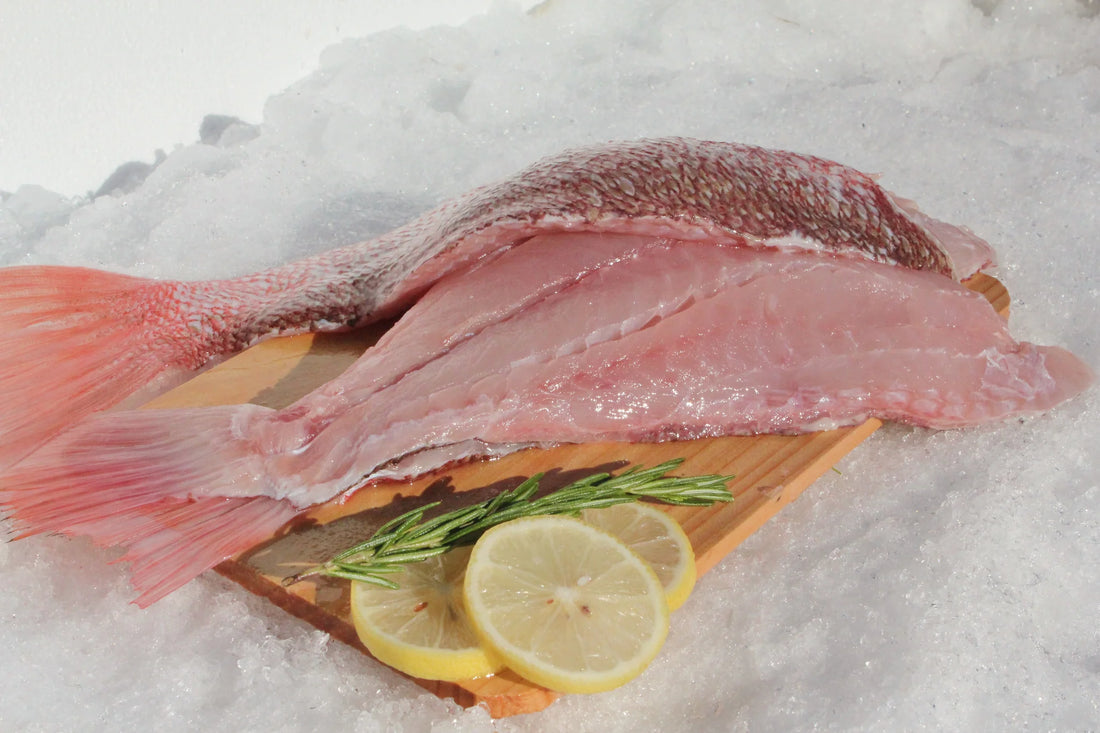 Texas Red Snapper